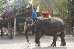 Elefanten, Strand und wilde Affen - Im Elefantendorf Hua Hin