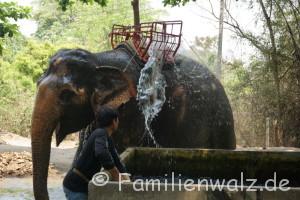 Elefanten, Strand und wilde Affen - Nach der Tour wird geduscht