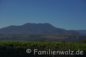 Dem Herzen folgen, Coquimbo streifen und in Pisco Elqui für immer bleiben wollen - Weinfelder auf dem Weg nach La Serena